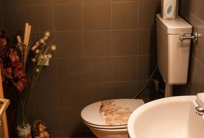 Casă individuală cu 8 camere cu Canalizare în Corbeanca - 21