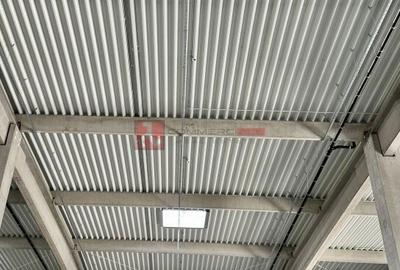 Spațiu comercial, de 5,486 mp, în Cristian - 7