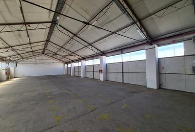 Spațiu industrial, de 684.30999755859 mp, în Someșeni