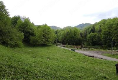 Teren de 3746 mp, în Lepșa