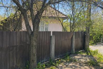 Casă cu 5 camere în Gutinaș