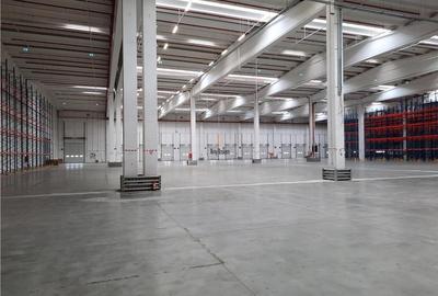 Spațiu industrial, de 3,000 mp, în Est - 6