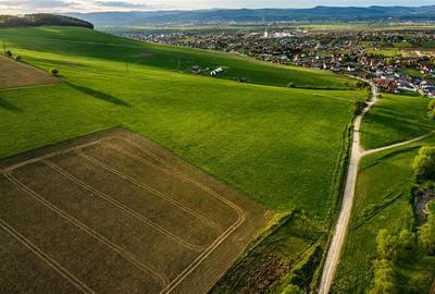 Teren extravilan de 23669 mp, în Sângeorgiu de Mureș - 2