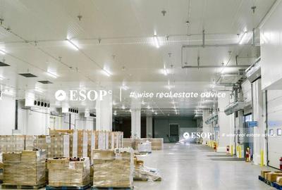 Spațiu industrial, de 5,000 mp, în Mureșeni - 5