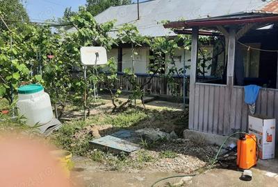 Casă cu 3 camere cu Teren 4000 Mp în Central