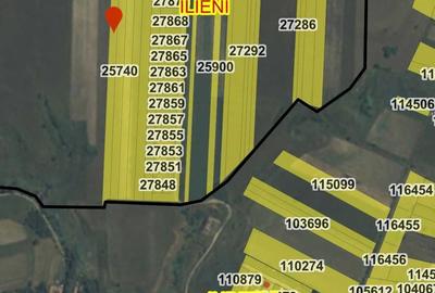 Teren de 13400 mp, în Ilieni - 1