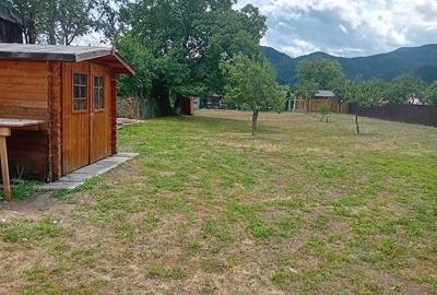 Casă cu Teren 1450 Mp în Viișoara - 9