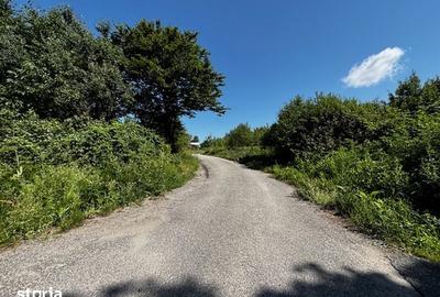 Teren de 3100 mp, în Dăești