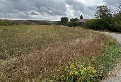 Teren agricol intravilan de 1400 mp, în Comana - 7