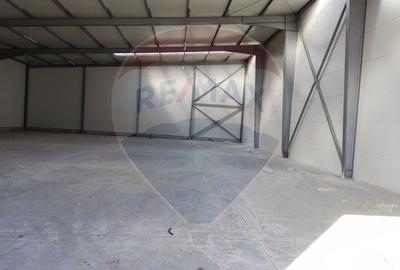 Spațiu industrial, de 600 mp, în Afumați - 3