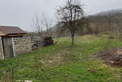 Casă cu 4 camere în Mănăstirea Cașin - 2