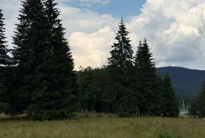 Teren Construcții intravilan de 1500 mp, în Comandău - 11