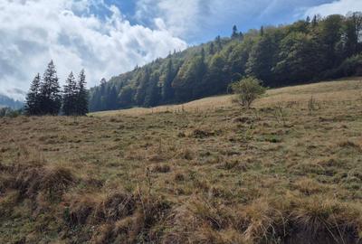 Teren agricol extravilan de 5000 mp, în Glăjărie - 7