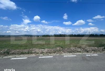Teren de 5000 mp, în Racovița