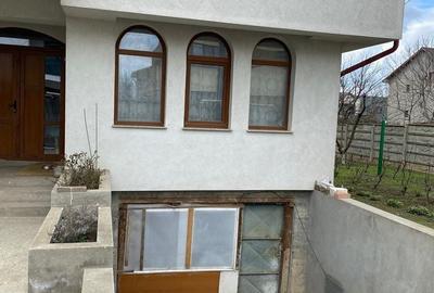 Casă cu Teren 800 Mp în Palazu Mare - 1