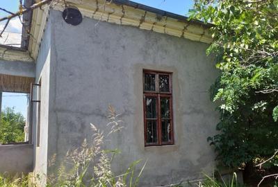 Casă cu 4 camere cu Teren 2600 Mp în Dioști - 4