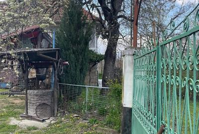 Casă cu Teren 6000 Mp în Central - 3