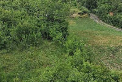 Apartament cu 3 camere semidecomandat în Grigorescu - 2