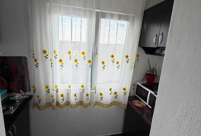 Apartament cu 2 camere decomandat în Nufărul - 3