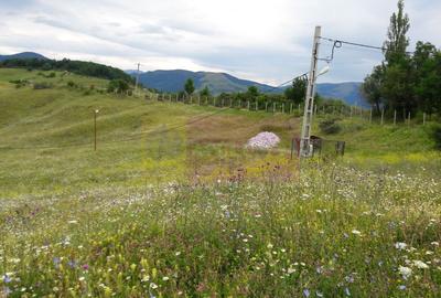 Teren agricol intravilan de 9037 mp, în Plaiul Tălii - 4