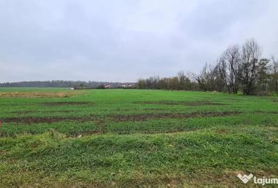 Teren de 3000 mp, în Brănești - 5