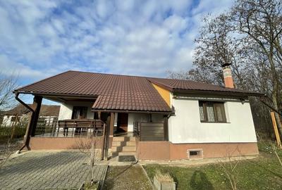 Casă cu 2 camere în Zimandcuz - 5
