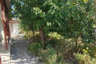 Casă cu 3 camere în Mahmudia