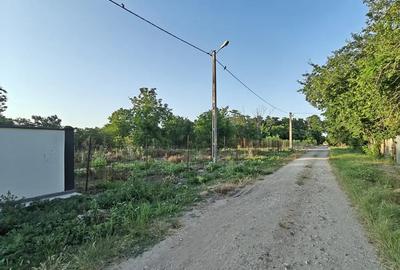 Teren de 1000 mp, în Livedea - 4