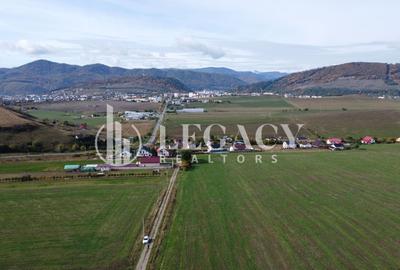 Teren agricol intravilan de 10000 mp, în Gârcina - 5