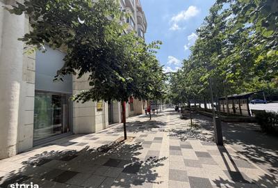 Apartament cu 3 camere decomandat în Decebal - 14