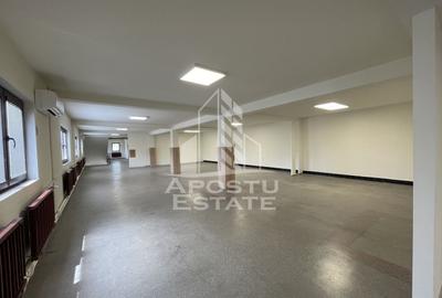 Spațiu comercial, de 800 mp, în Dumbrăvița