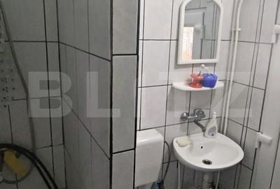 Casă cu 1 camere cu Teren 2500 Mp în Mintiu Gherlii - 8