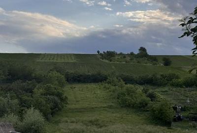 Teren de 6000 mp, în Coarnele Caprei - 1