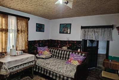Casă cu 3 camere cu Teren 3400 Mp în Drăgoiești