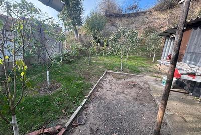 Casă individuală cu 3 camere cu Canalizare în Șura Mare - 19