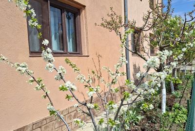 Casă cu 4 camere în Hinova - 5