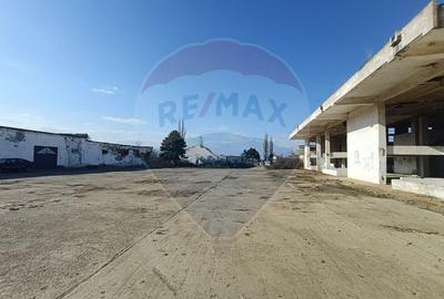 Spațiu industrial, de 5,000 mp, în Niculițel - 4