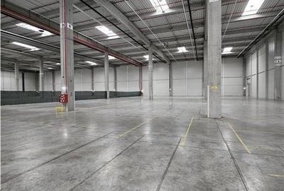 Spațiu industrial, de 6,000 mp, în Vest - 5