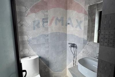 Casă cu 6 camere cu Teren 7661 Mp în Cheia - 21