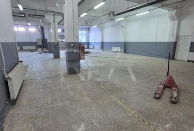 Spațiu industrial, de 650 mp, în Theodor Pallady
