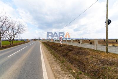 Teren Construcții intravilan de 7092 mp, în Horia - 7