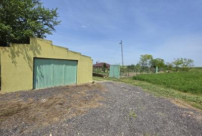 Casă individuală cu 3 camere cu Teren 3604 Mp în Tortoman - 14