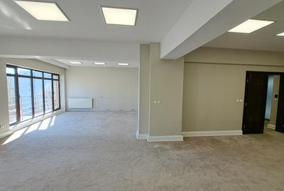 Birou, de 102.87999725342 mp, în Unirii - 1