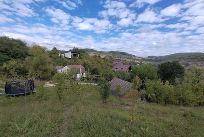 Teren de 5400 mp, în Drăgăneasa - 4