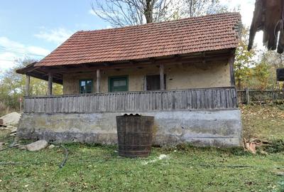 Casă individuală cu 4 camere cu Teren 2450 Mp în Luncoiu de Sus - 6