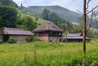 Casă cu 4 camere cu Teren 8700 Mp în Jojei - 1