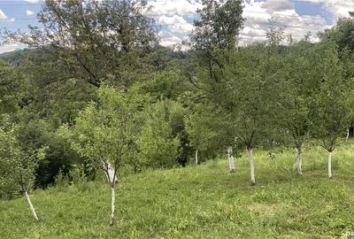 Teren de 1359 mp, în Nistorești - 2