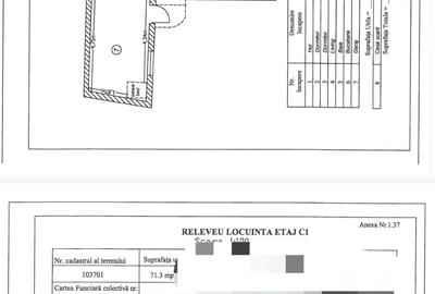 Casă individuală cu 6 camere cu Teren 249 Mp în Central - 12
