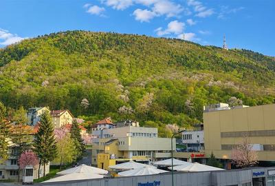 Apartament cu 3 camere semidecomandat, mobilat în Centrul Istoric