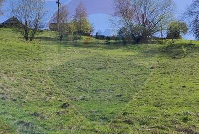 Teren Construcții intravilan de 2545 mp, în Valea Poienii (Râmeț) - 1
